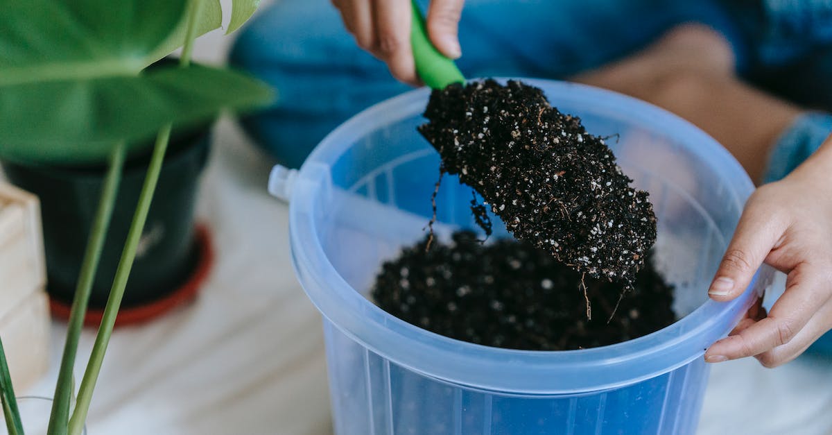 Descubra Os Prós E Contras Dos Fertilizantes Orgânicos Tudo O Que Você Precisa Saber 4201